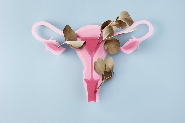 Menopausa e reposição hormonal